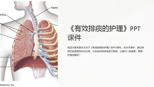 《有效排痰的护理》课件