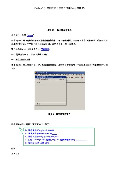 epidata中文教程