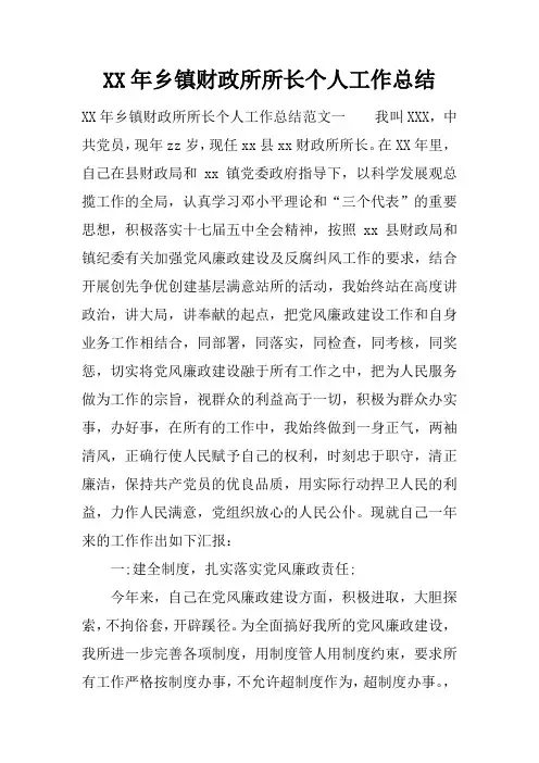 XX年乡镇财政所所长个人工作总结_1