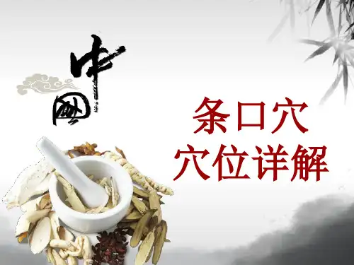 中医穴位详解：条口穴
