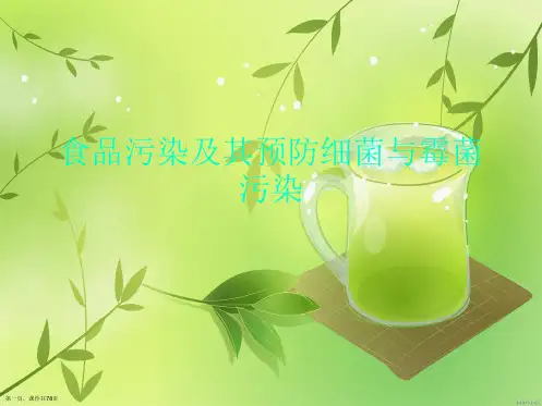 食品污染及其预防细菌与霉菌污染