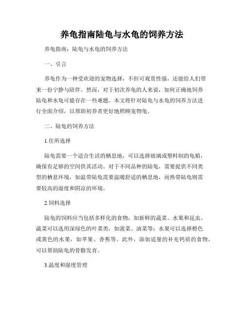 养龟指南陆龟与水龟的饲养方法