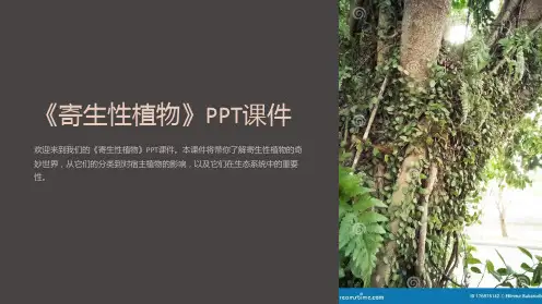 《寄生性植物》课件