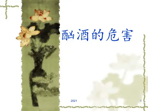 酗酒的危害PPT课件