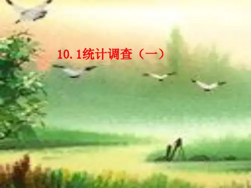 人教版七年级数学下册第十章《101 统计调查》公开课 课件(共16张PPT)