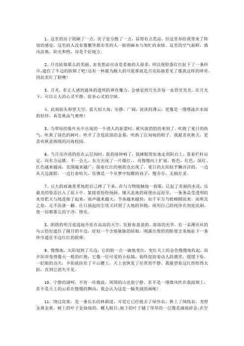 描写生动的句子,段落