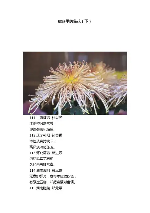 楹联里的菊花（下）