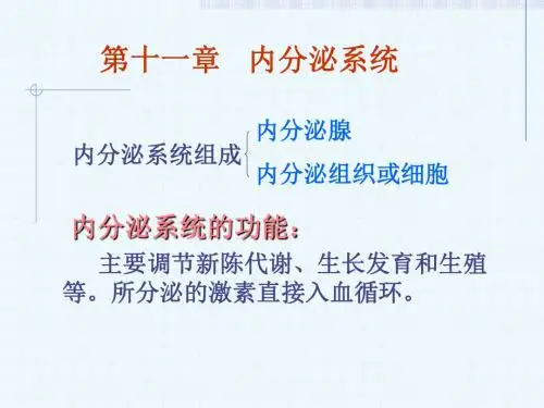 11.内分泌系统 PPT课件