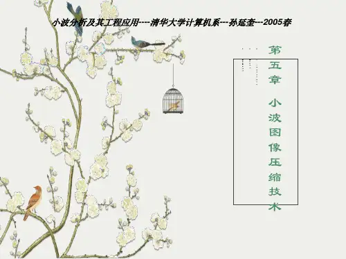小波图像压缩技术教学