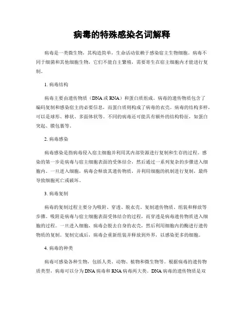 病毒的特殊感染名词解释