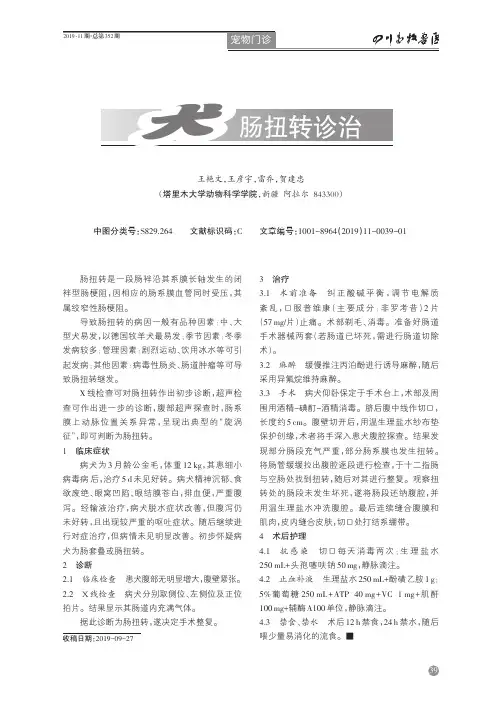 犬肠扭转诊治