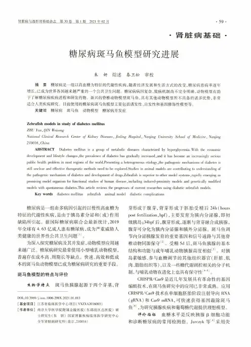 糖尿病斑马鱼模型研究进展