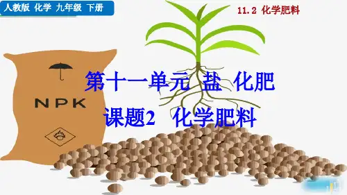 人教版初中化学-人教版初中九年级化学-化学化学肥料