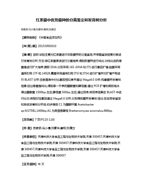 红茶菌中优势菌种的分离鉴定和发育树分析