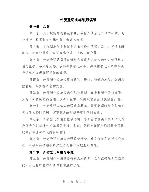 外债登记实施细则模版