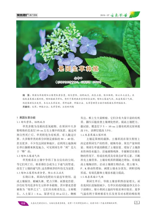 果园生草种植