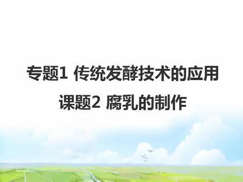 高中生物选修1优质课件2：1.2腐乳的制作