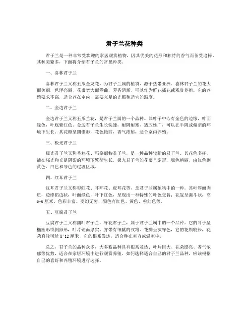 君子兰花种类