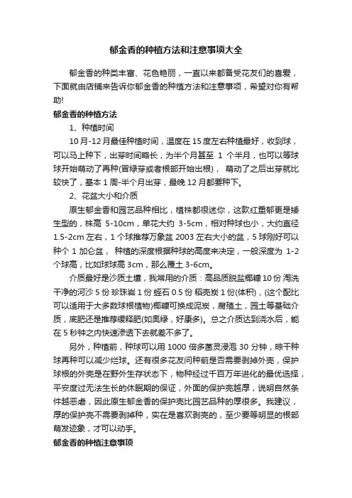 郁金香的种植方法和注意事项大全
