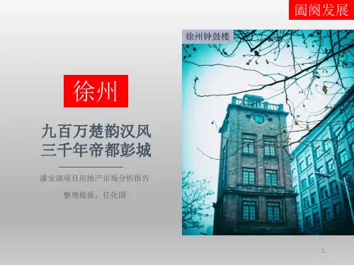 徐州房地产市场分析PPT精选文档