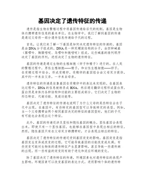 基因决定了遗传特征的传递