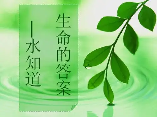 水知道答案(完整版)