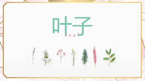 创意淡雅清新叶子PPT模板