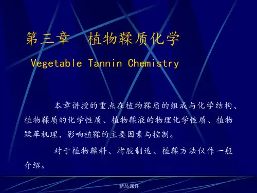 鞣制化学第三章