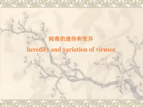 病毒的遗传和变异PPT课件