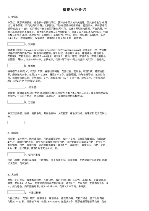 樱花品种介绍