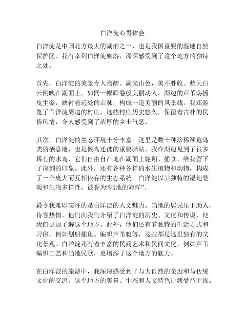 白洋淀心得体会