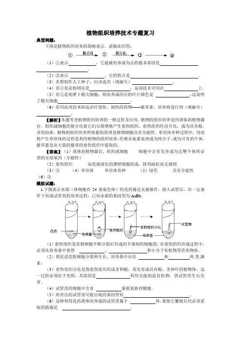 人教版教学素材植物组织培养技术专题复习