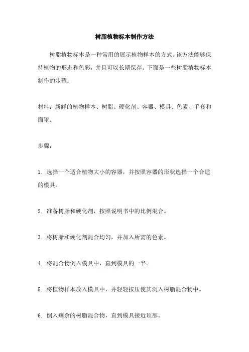 树脂植物标本制作方法