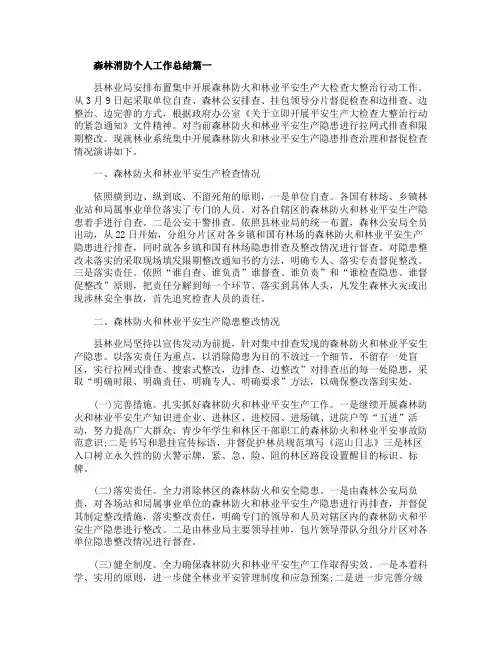 森林消防个人工作总结范本5篇
