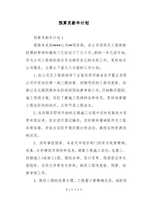 预算员新年计划