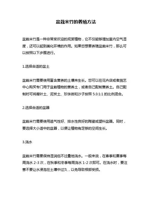 盆栽米竹的养殖方法