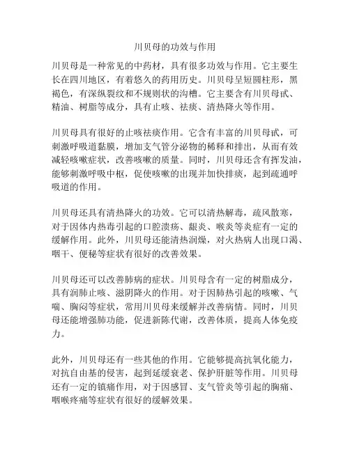 川贝母的功效与作用