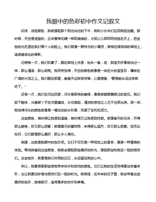 我眼中的色彩初中作文记叙文