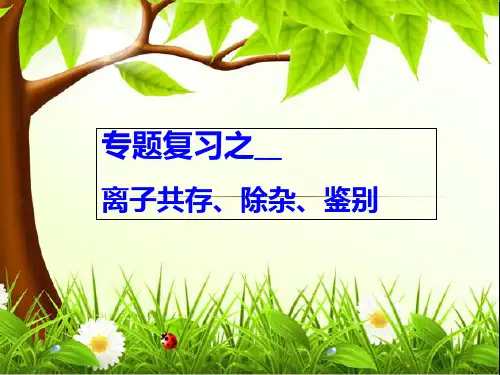中考专题课件离子共存除杂鉴别(讲课)