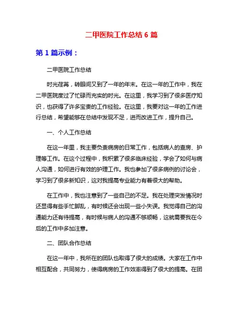 二甲医院工作总结6篇