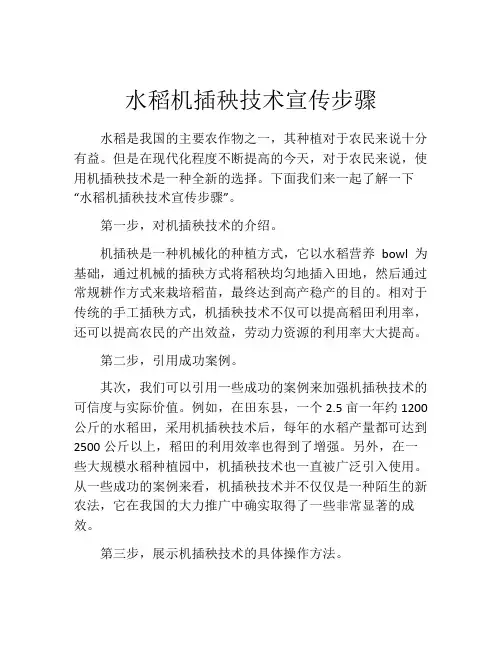水稻机插秧技术宣传步骤