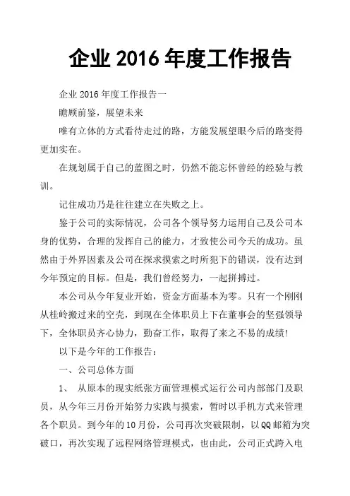 企业2016年度工作报告