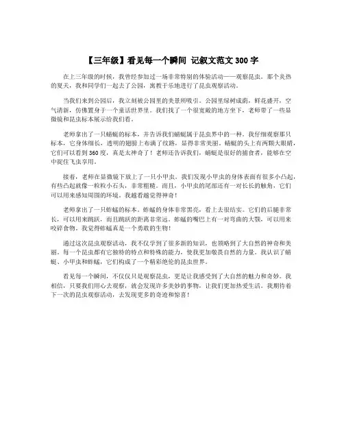 【三年级】看见每一个瞬间 记叙文范文300字