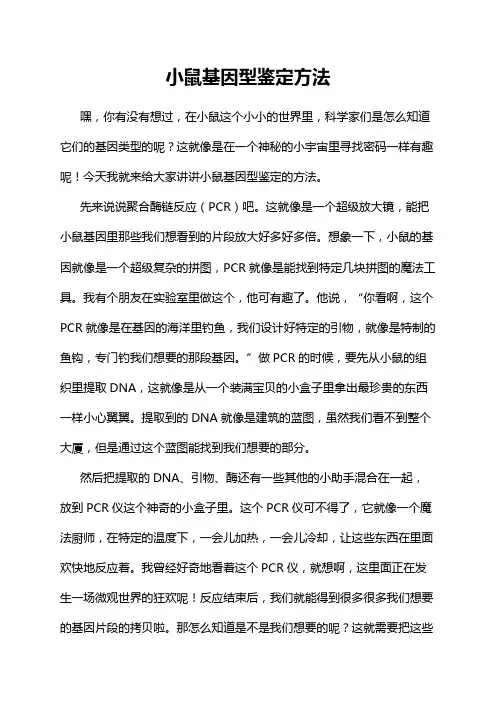 小鼠基因型鉴定方法