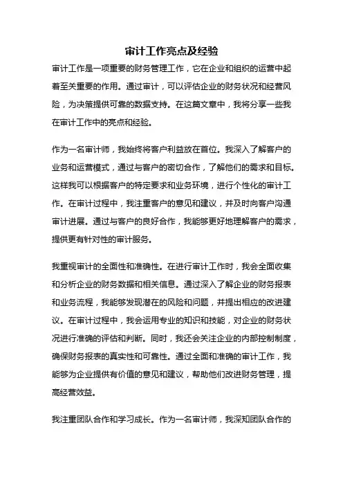 审计工作亮点及经验