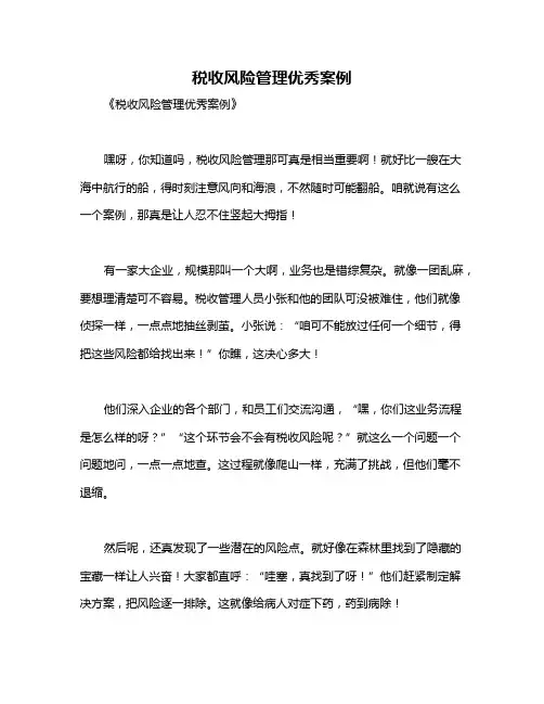 税收风险管理优秀案例