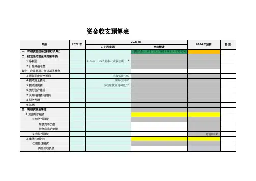 资金收支预算表