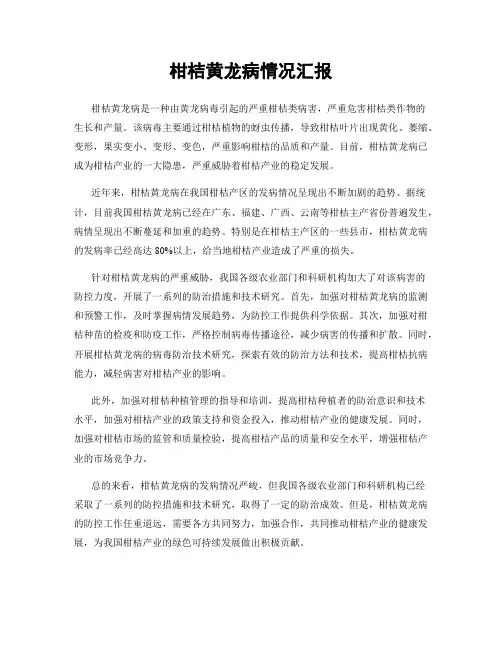 柑桔黄龙病情况汇报