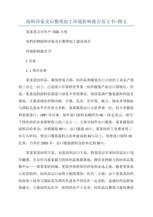 面料印染及后整理加工环境影响报告范文书-图文