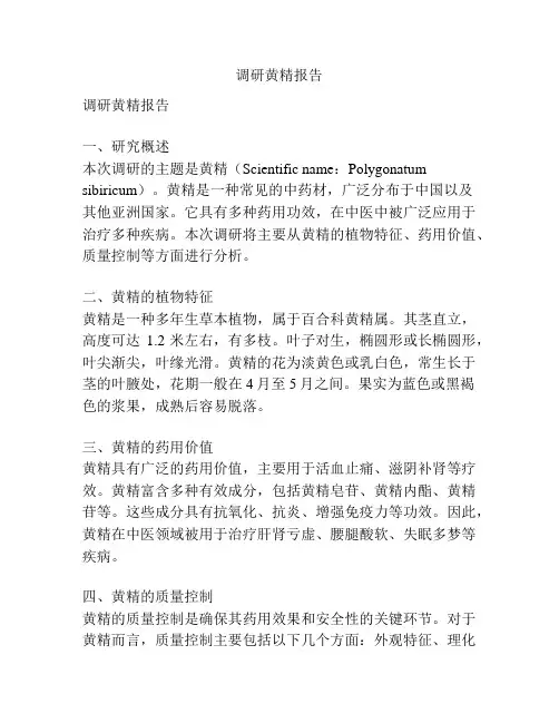 调研黄精报告
